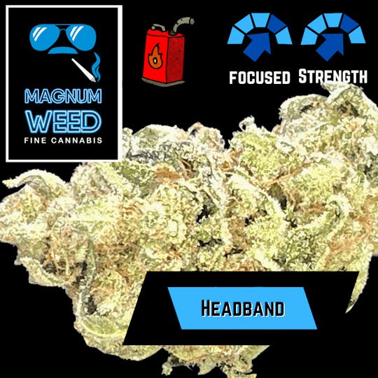 Magnum Weed - Magnum Headband - 1