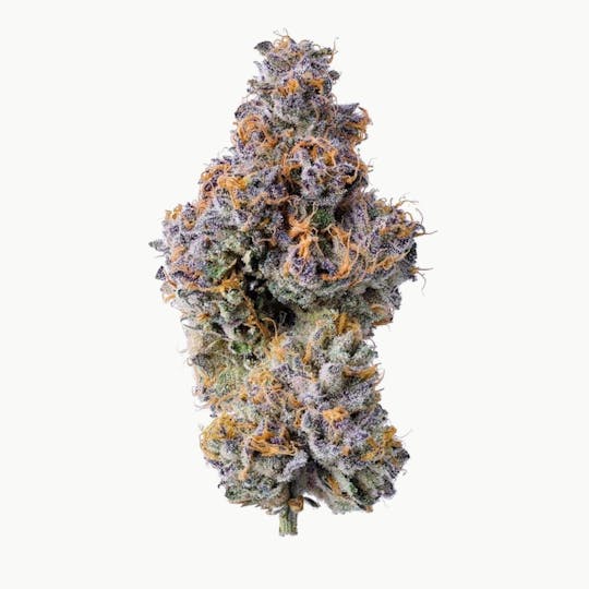 Purple Lotus - Blue Chip - Zoap 3.5g - 1
