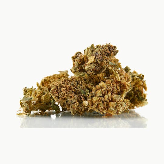 LA Native - Purple Garlic Budder (Low-Shelf) - Hybrid - 1