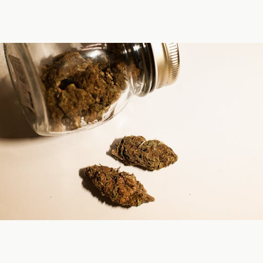 LA Native - Ice Cream Cake (Low-Shelf) - Indica - 1