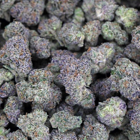 LA Native - Lemon Cherry Gelato - TOP SHELF INDOOR BIG BUDS - 1