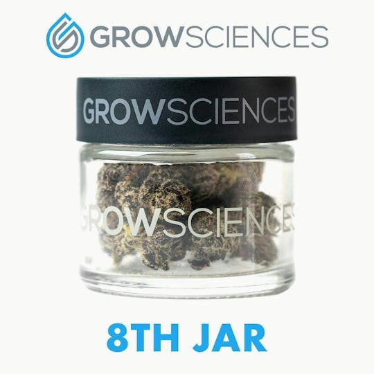 Grow Sciences - Platinum Garlic Cookies Flower Jar (1/8th) - 1