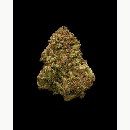 LA Native - Cherry Lime Gelato - Sungrown - 1