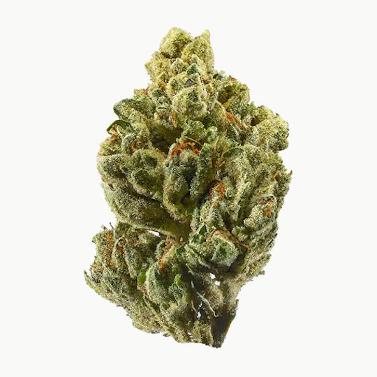LA Native - Candy Gas - INDOOR MID BUDS - 1