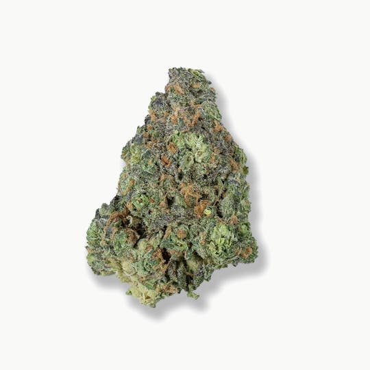 LA Native - Candy Pave - INDOOR MID BUDS - 1