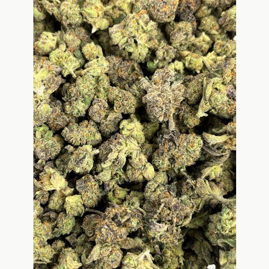Shatter House - Beast Mode Flower 27% - 1