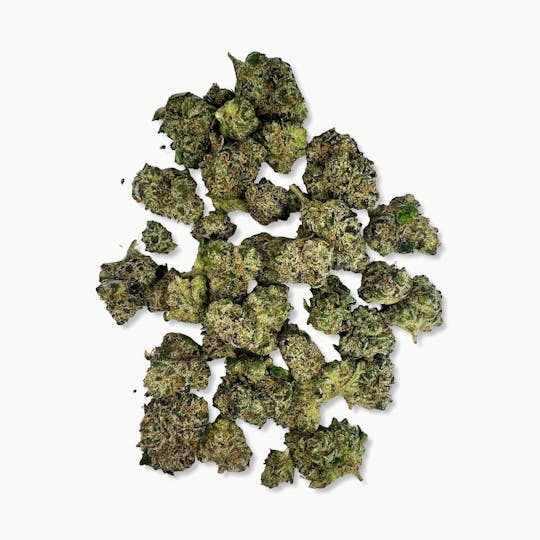 Indico - Twerk Quake (Smalls) $100oz - Bungludetch Farms - 1