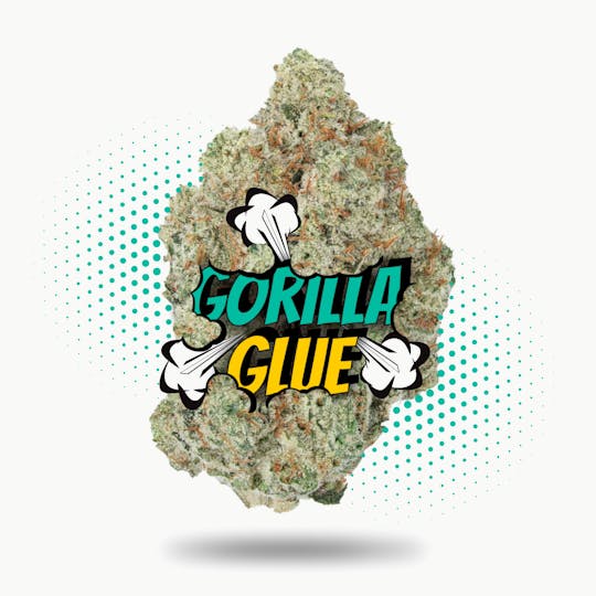 Frostiez - Gorilla Glue (3.5g - 1/8oz) - Topshelf Indoor - Hybrid - 1