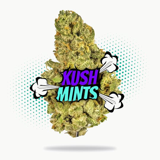 Frostiez - Kush Mintz (3.5g - 1/8oz) - Topshelf Indoor - Hybrid - 1