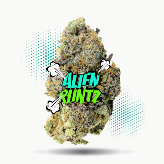 Frostiez - Alien Runtz (3.5g - 1/8oz) - PREMIUM FLOWER - Hybrid - 1