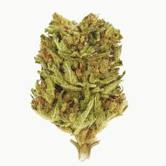 Smoakland - Exclusive - Black Jack (H) - 28g - 1