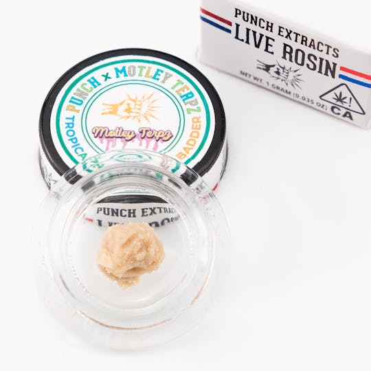 Punch Edibles & Extracts - Tropicanna Panther Tier 4 Live Rosin Cold Cure Badder (1g) - 1