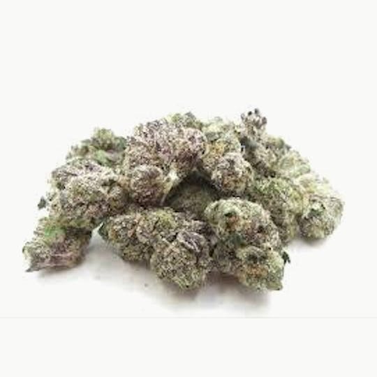 Cannafeen - LEMON CHERRY GELATO 32.9% - 1