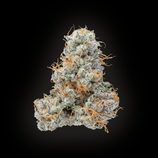 Auraz - Caleta Flower | Kush Mintz - 1