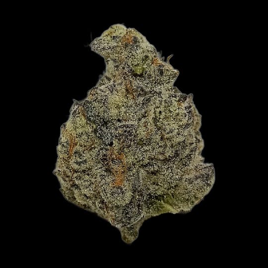 Auraz - Caleta Flower | Grapes n' Cream - 1