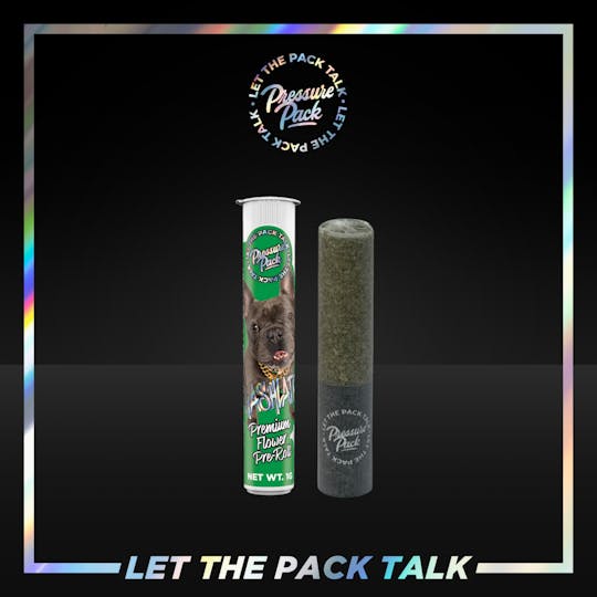 Pressure Pack - Pressure Pack Kashlato Pre-roll 1g - 1
