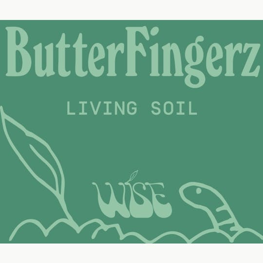 Wise - Wise | Butterfingerz | Full Flower Pre-Roll | 1g - 1