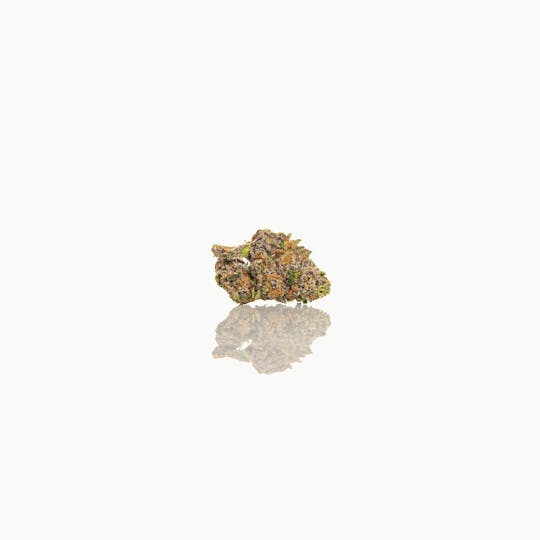 CAM - CAM | CAM Pop (1g) - 1