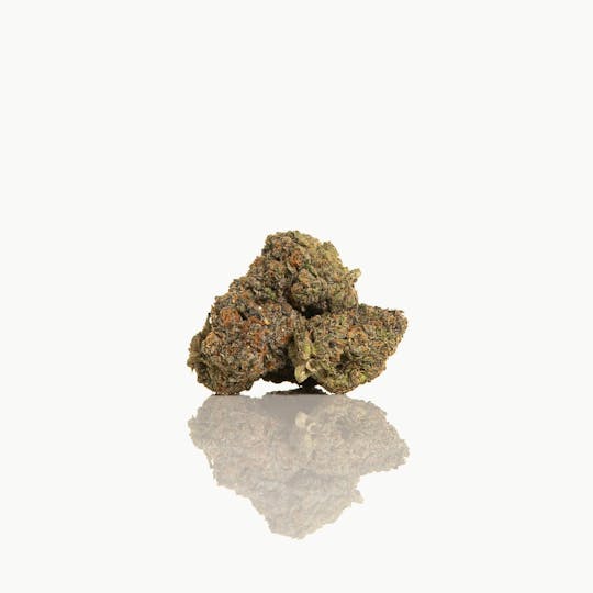 CAM - CAM | CAM's Superglue (1g) - 1