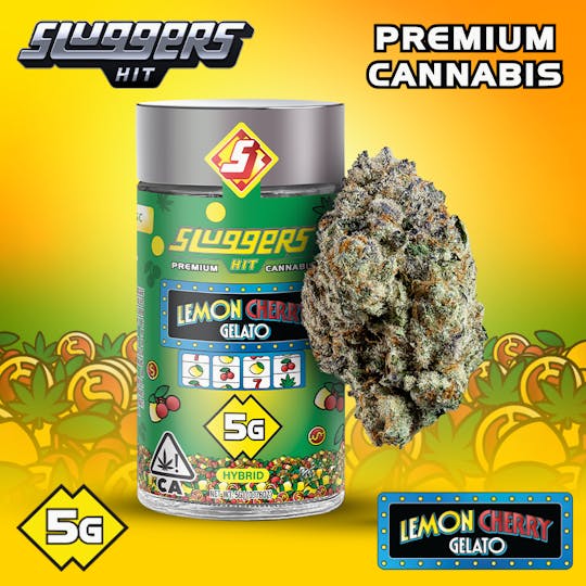 Sluggers Hit - Sluggers - Jarred Flower - 5g - Lemon Cherry Gelato - 1