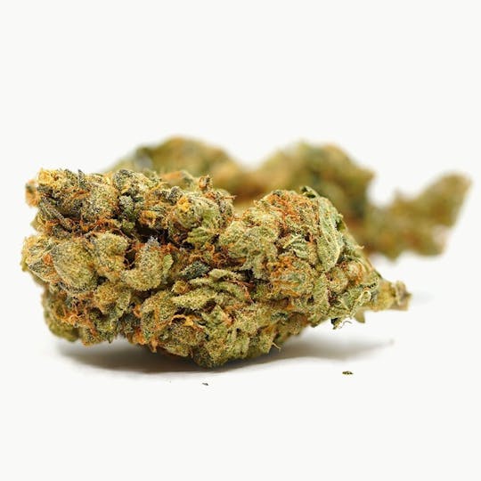 LA Native - Oreoz - Sungrown - 1