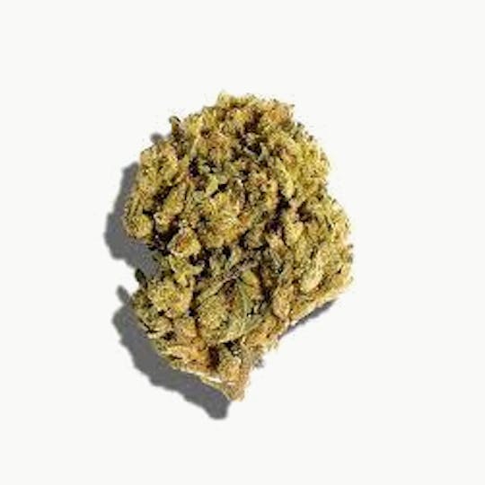 LA Native - Motor Breath - Sungrown - 1