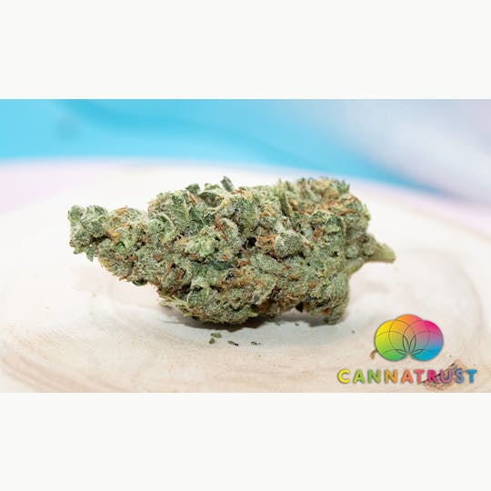 Trusty Transportations - Mochi Gelato 1/2 Ounce/14Grams(26%THC, Hybrid) - 1