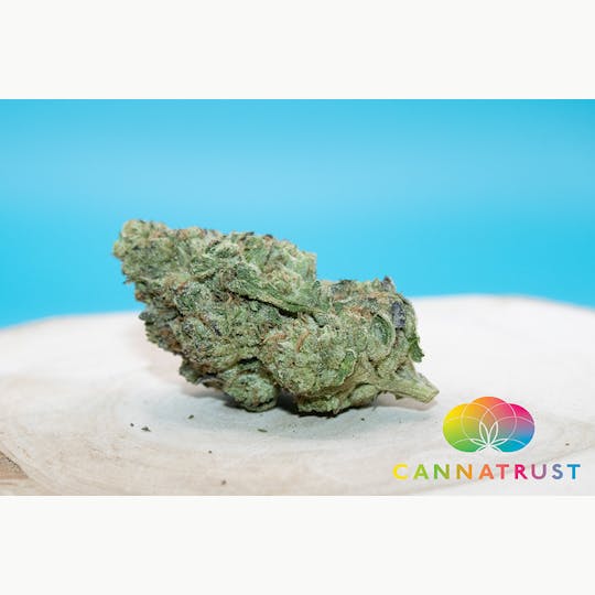 Trusty Transportations - Vanilla Frosting 1/2 Ounce/14Grams(32%THC, Indica) - 1