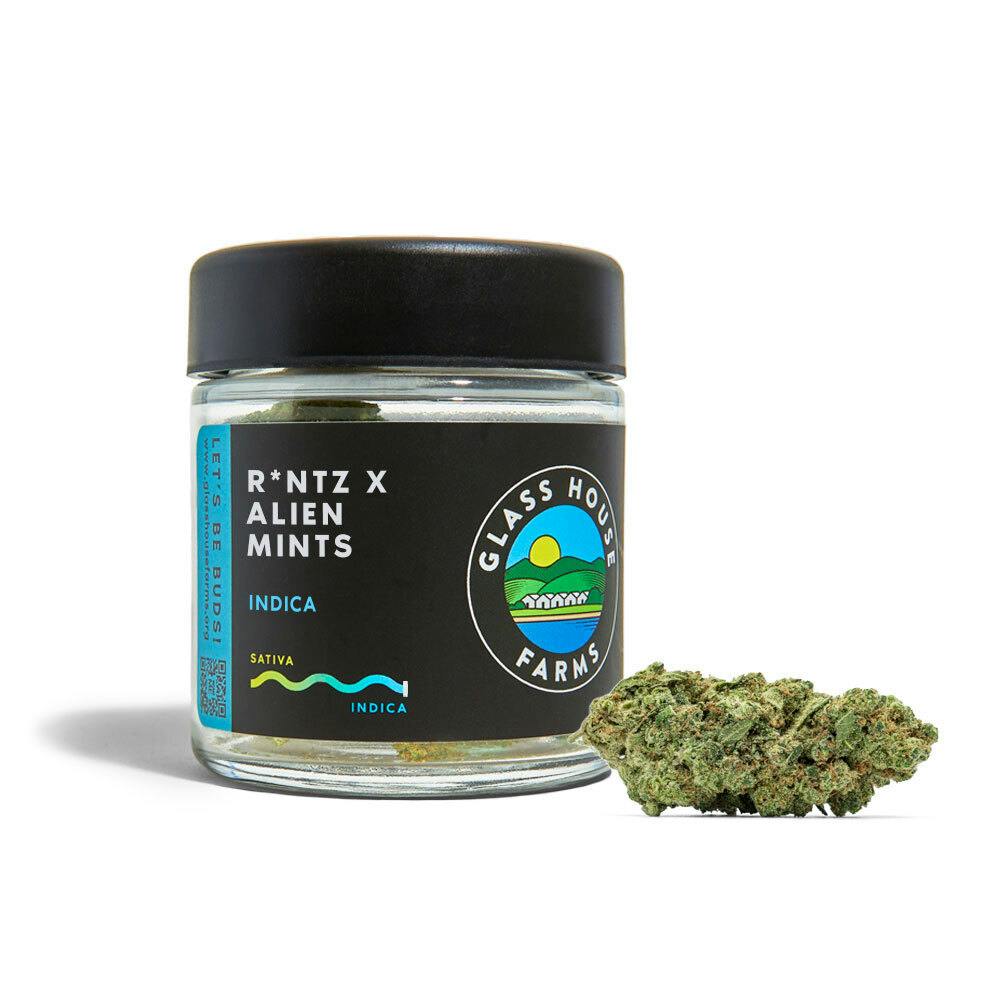 Glass House Farms - R*ntz x Alien Mints [3.5g Jar] - 1