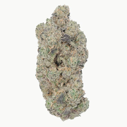 LA Native - Gush Mintz - Mixed Light - 1
