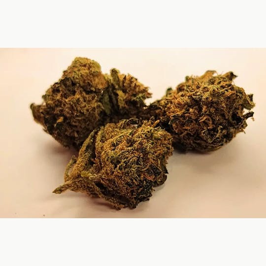 LA Native - Purple Legend (Low-Shelf) - Hybrid - 1
