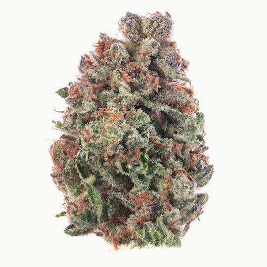 Hype Train - Blueberry Pancakes Flower 14g - 1