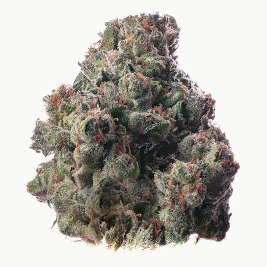 Hype Train - High Society Flower 14g - 1