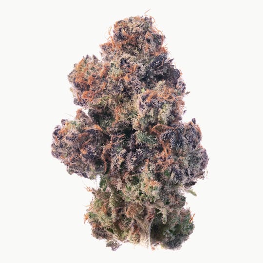Za - ZArina Williams Gogurtz Flower 7g - 1