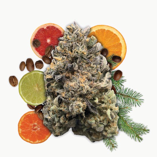 Big River Cannabis Company - Gangsta Boo - Platinum - 1