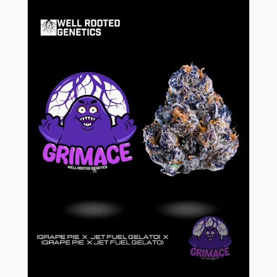 Well Rooted Genetics - Grimace - 1