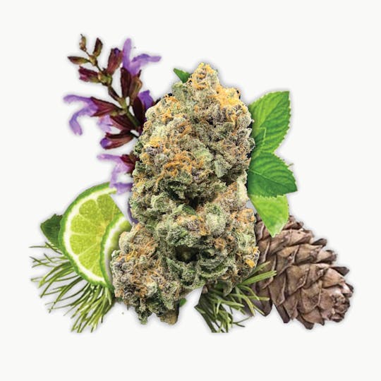Big River Cannabis Company - Diamond Ring - Platinum - 1