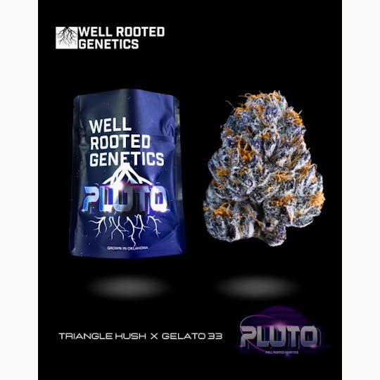 Well Rooted Genetics - Pluto - 1