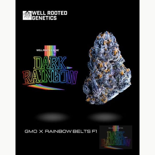 Well Rooted Genetics - Dark Rainbow - 1