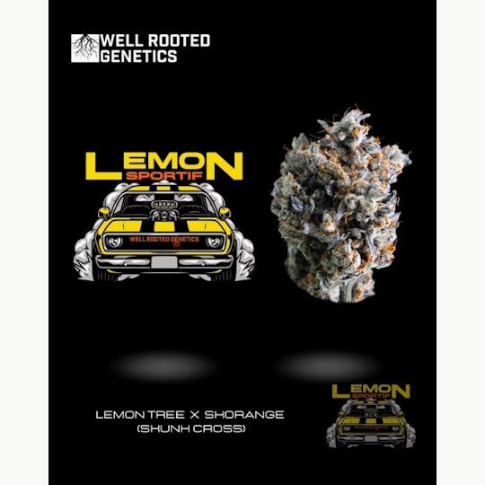 Well Rooted Genetics - Lemon Sportiff - 1