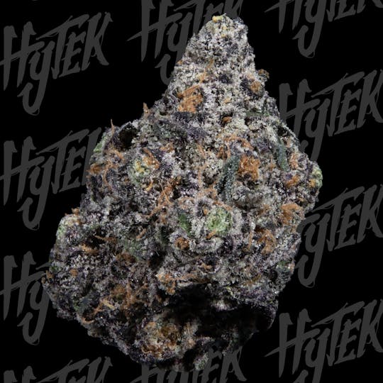 Hytek - HYTEK | BLACK SHERBLATO | BULK DELI FLOWER - 1