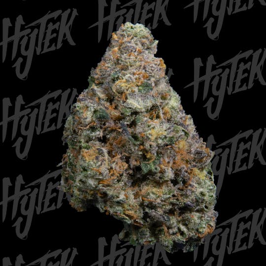 Hytek - HYTEK | FIRST CLASS FUNK | BULK DELI FLOWER - 1