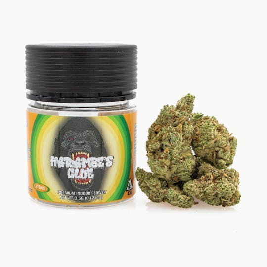 Canna America - Harambe's Glue - 3.5g - 1