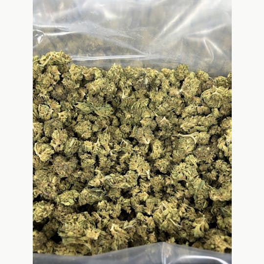 Shatter House - Apple Fritter Flower 28% - 1
