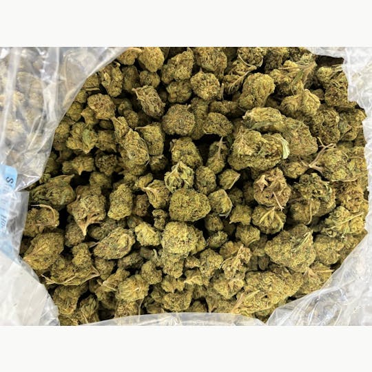 Shatter House - Cake Mix Flower 22.99% - 1