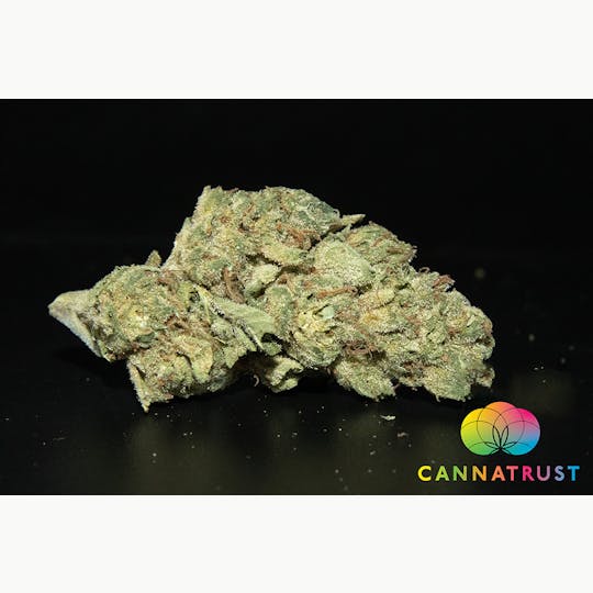 Trusty Transportations - Black Cherry Runtz 1 Gram(23%THC, Hybrid) - 1