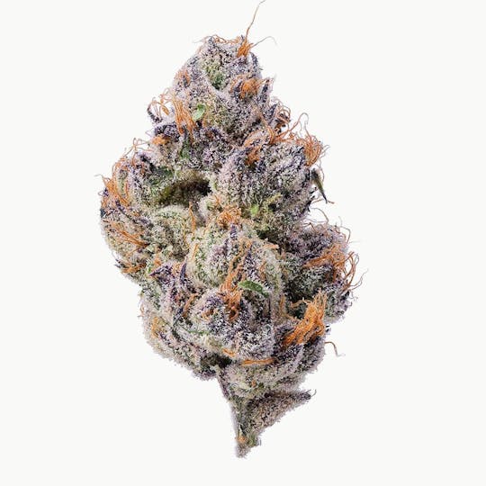 Purple Lotus - Blue Chip - Blue Lemonade - 1