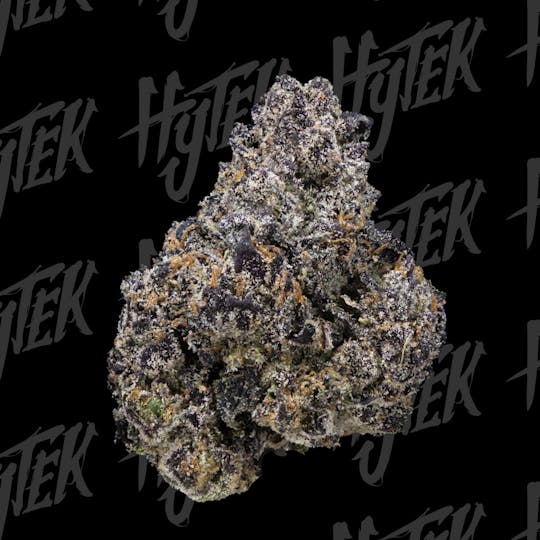 Hytek - HYTEK | SHERB CREAM PIE | BULK DELI FLOWER - 1