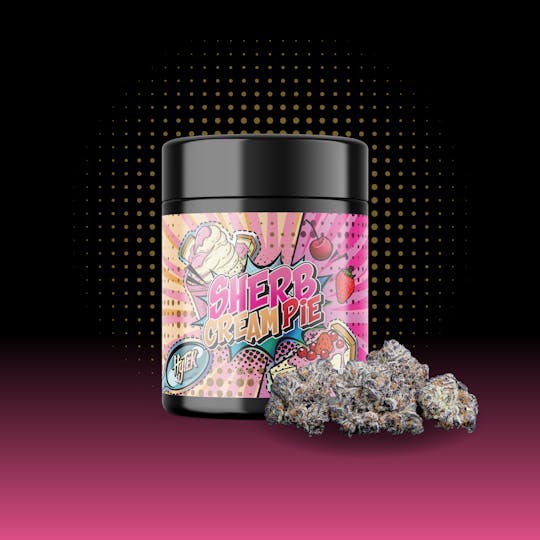 Hytek - HYTEK | SHERB CREAM PIE | PREPACKED 1/2 OZ JAR | 14g - 1