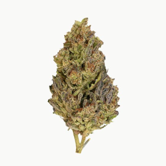 Smoakland - Black - Hella Jelly (H) - 14g - 1